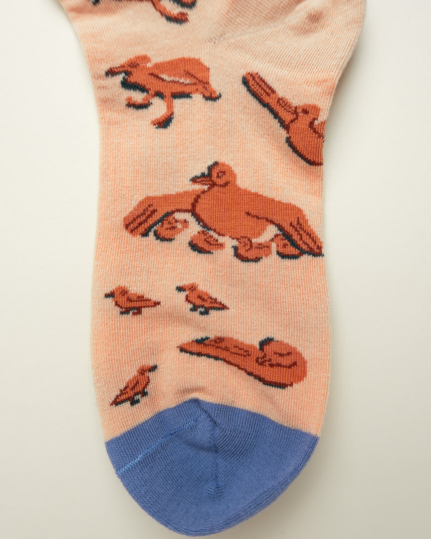 Soaring Tales – Women's Crew Socks