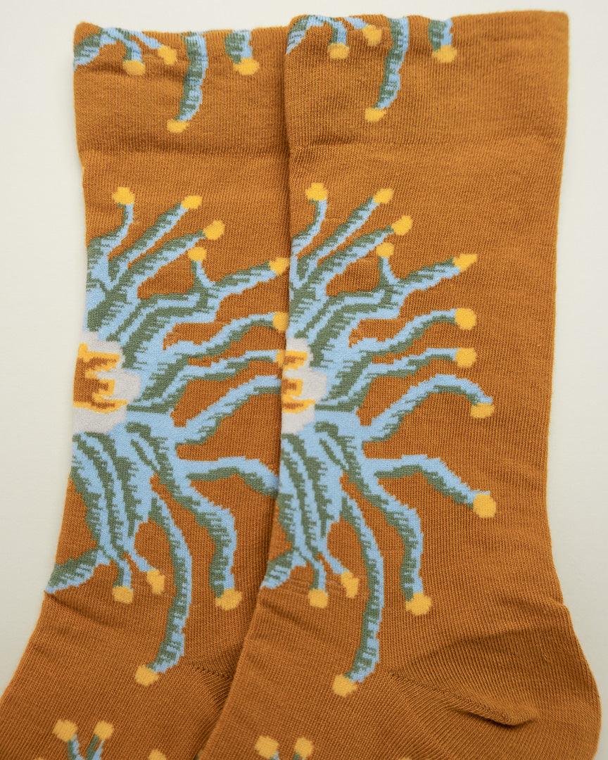 Golden Bloom – Women's Crew Socks